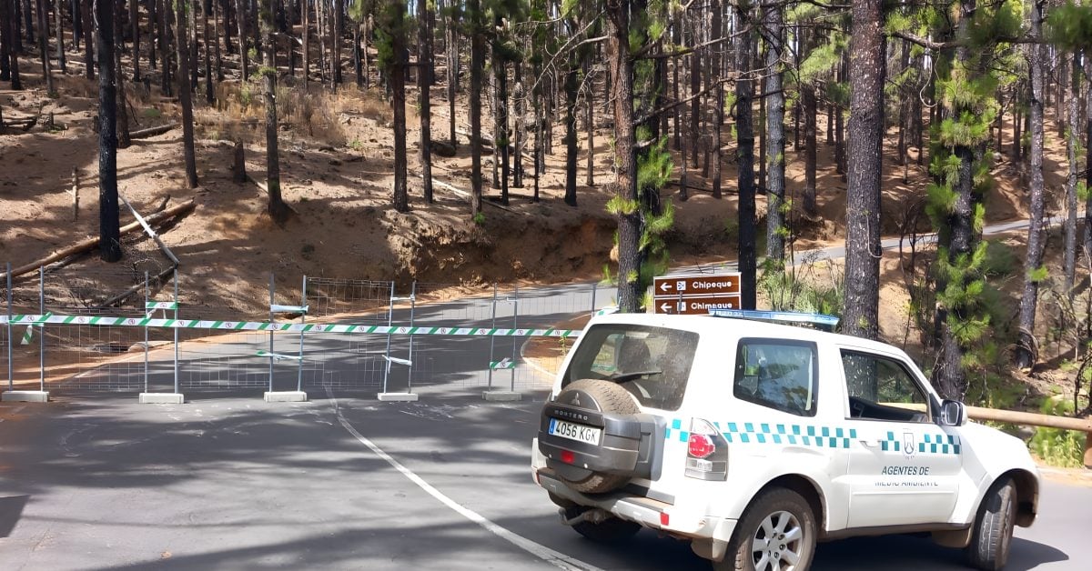 Sperrung widersetzt: Teneriffa schmeißt 50 Besucher aus Teide-Nationalpark
