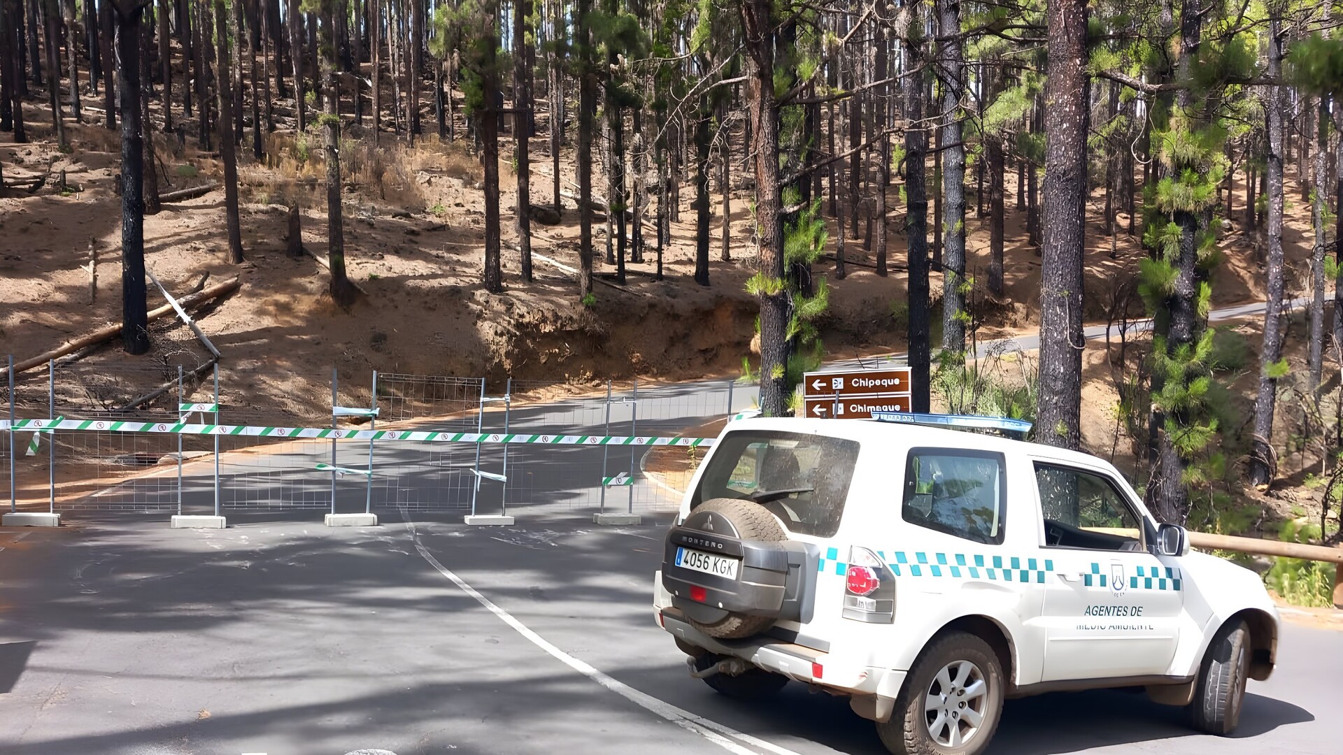 Waldbrand-Gefahr: Teneriffa sperrt Wandergebiete – das ist jetzt verboten