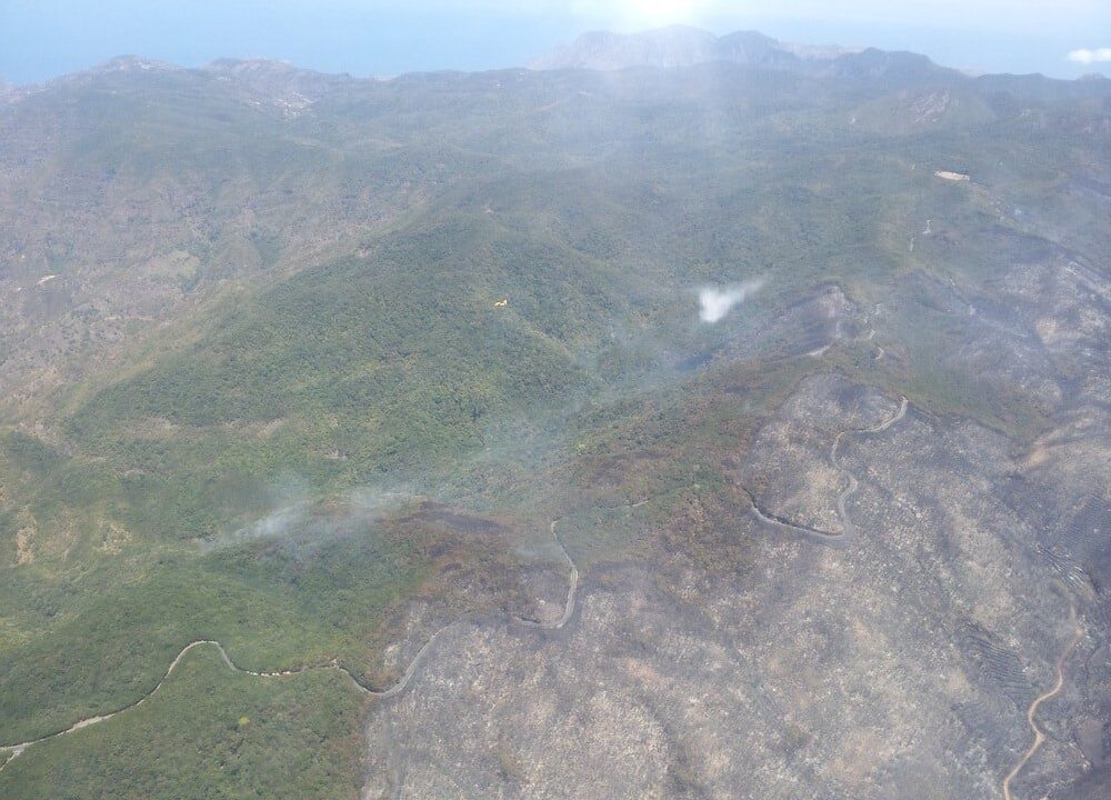 Waldbrände auf Teneriffa und La Gomera wohl Brandstiftung