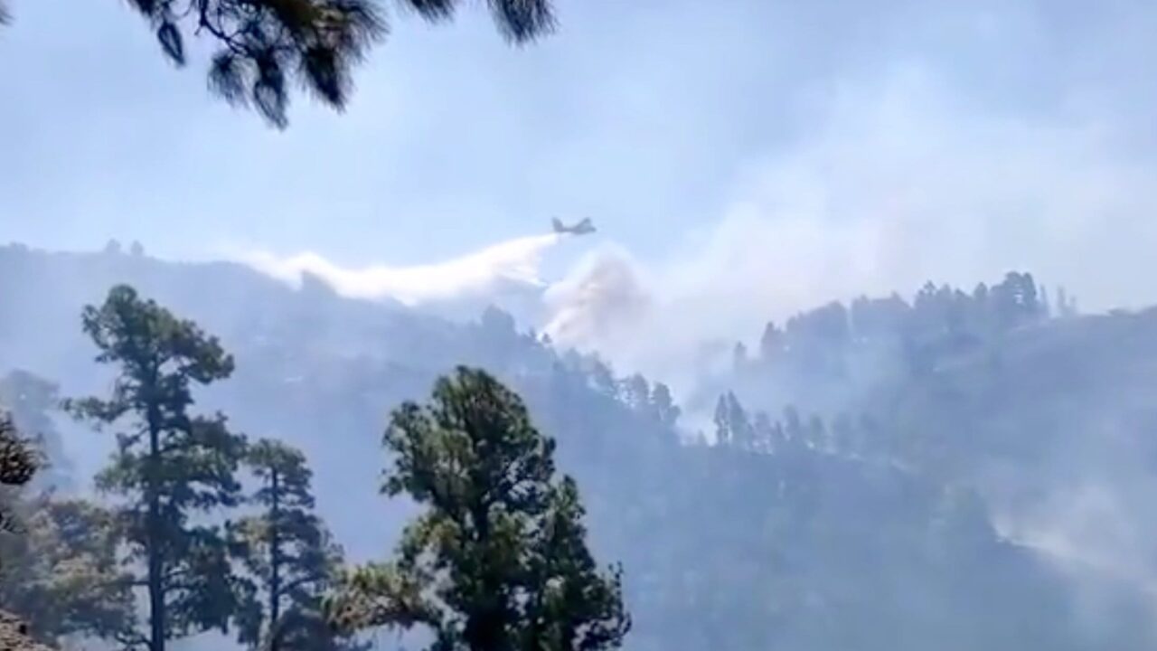 Nach Waldbrand: Polizei ermittelt mutmaßliche Brandstifter auf La Palma