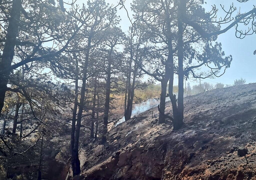 Waldbrände auf La Palma: Minderjähriger unter Brandstifter-Verdacht