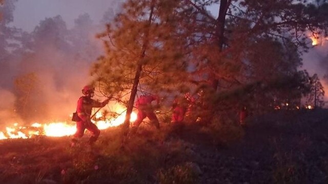 Waldbrand auf Teneriffa erreicht bald Fläche von 3000 Hektar