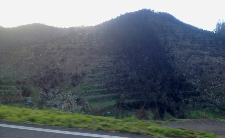 Erneut schwere Waldbrände auf Teneriffa