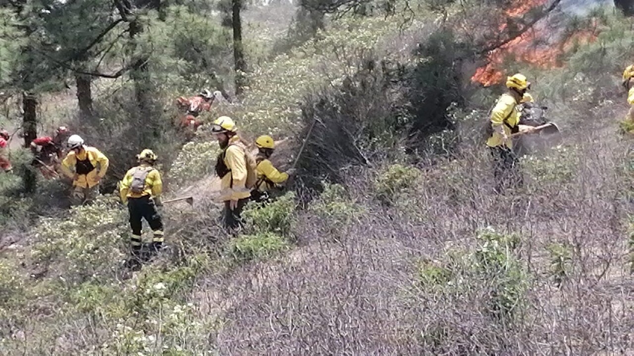 Waldbrand auf Teneriffa ist unter Kontrolle, aber weiter aktiv