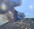 Waldbrand Cazadores Gran Canaria 09-2026