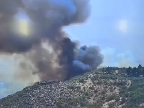 Waldbrand Cazadores Gran Canaria 09-2026