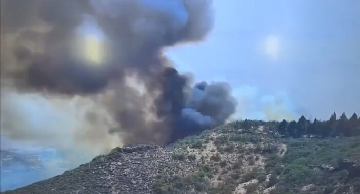 Waldbrand auf Gran Canaria zerstört 15 Hektar Land