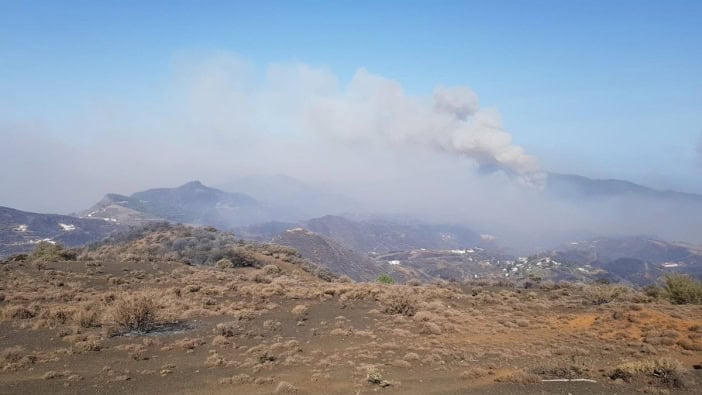 Waldbrand Feuer Gran Canaria Cabildo 08-2019