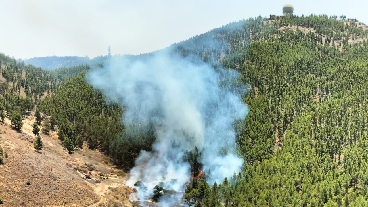 Waldbrand auf Gran Canaria ausgebrochen: Feuerwehr legt Brandschneisen