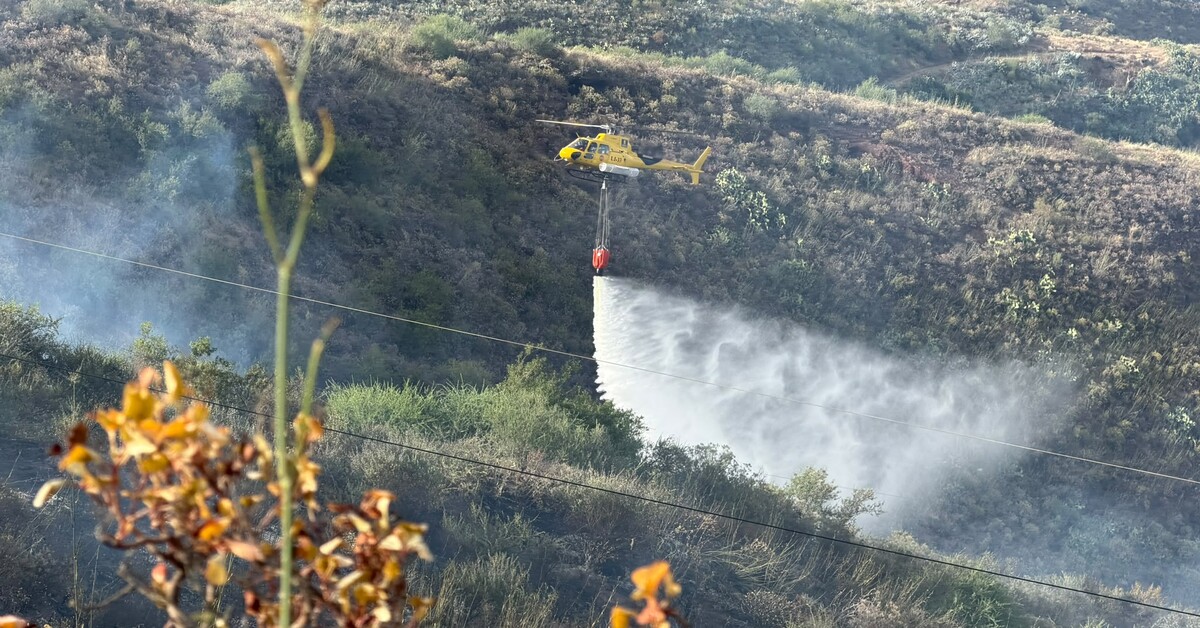 Waldbrand auf Gran Canaria: Bürgermeister macht Brandstifter-Bemerkung