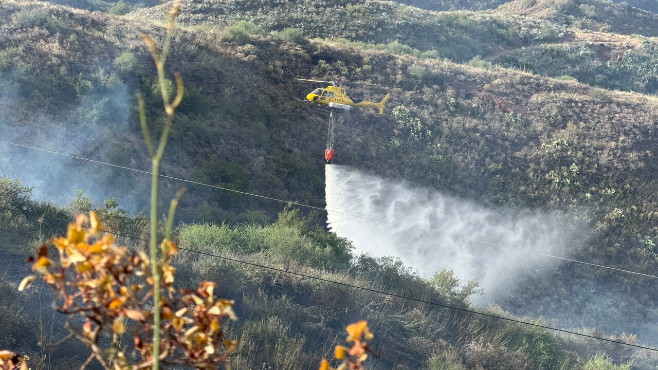 Waldbrand auf Gran Canaria: Bürgermeister macht Brandstifter-Bemerkung
