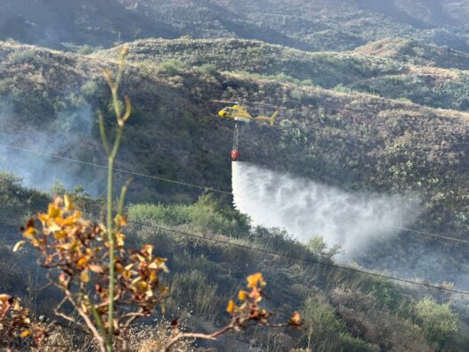 Waldbrand auf Gran Canaria: Bürgermeister macht Brandstifter-Bemerkung