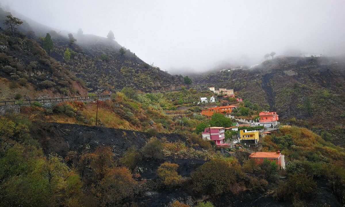 Waldbrand auf Gran Canaria – Ursache wahrscheinlich Brandstiftung