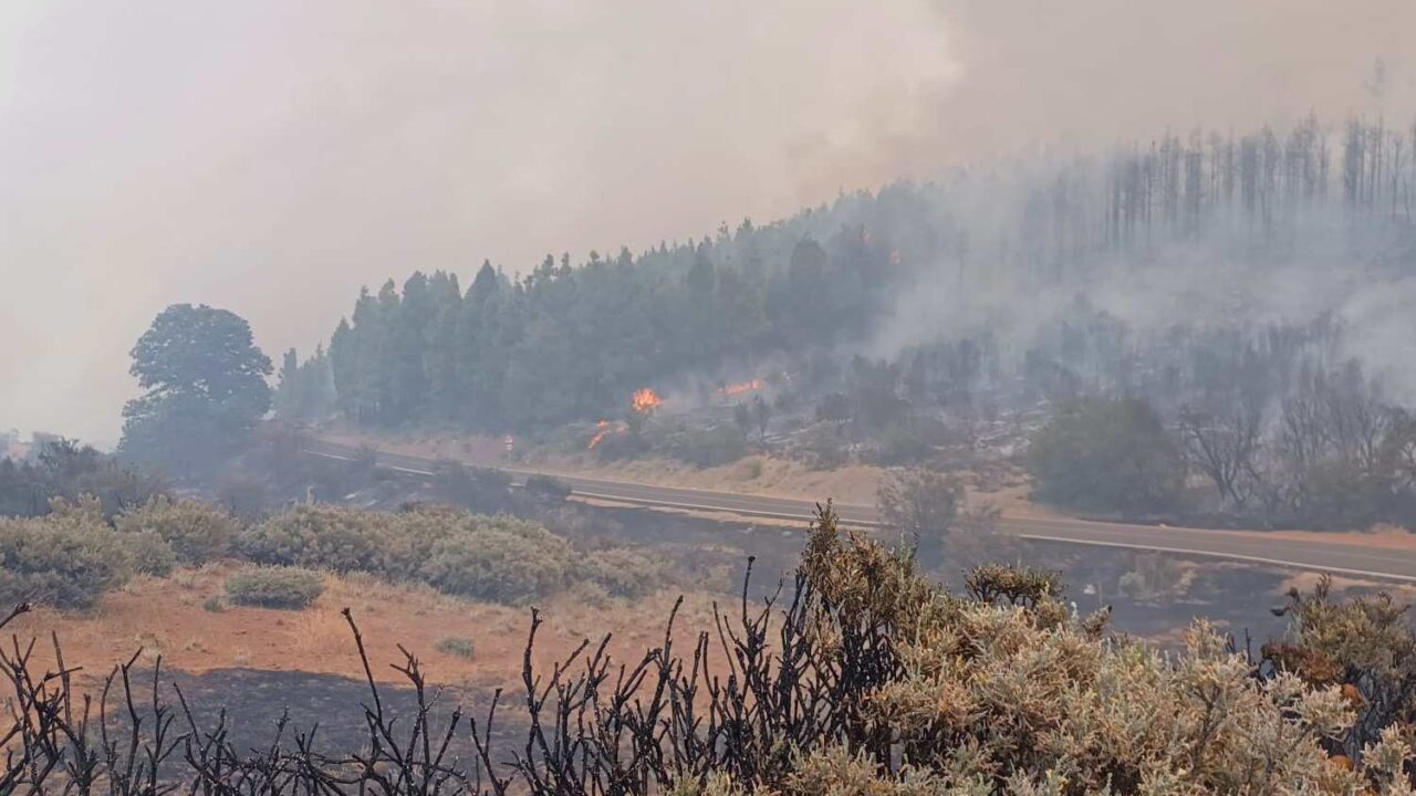 So wurde der Waldbrand auf Gran Canaria ausgelöst
