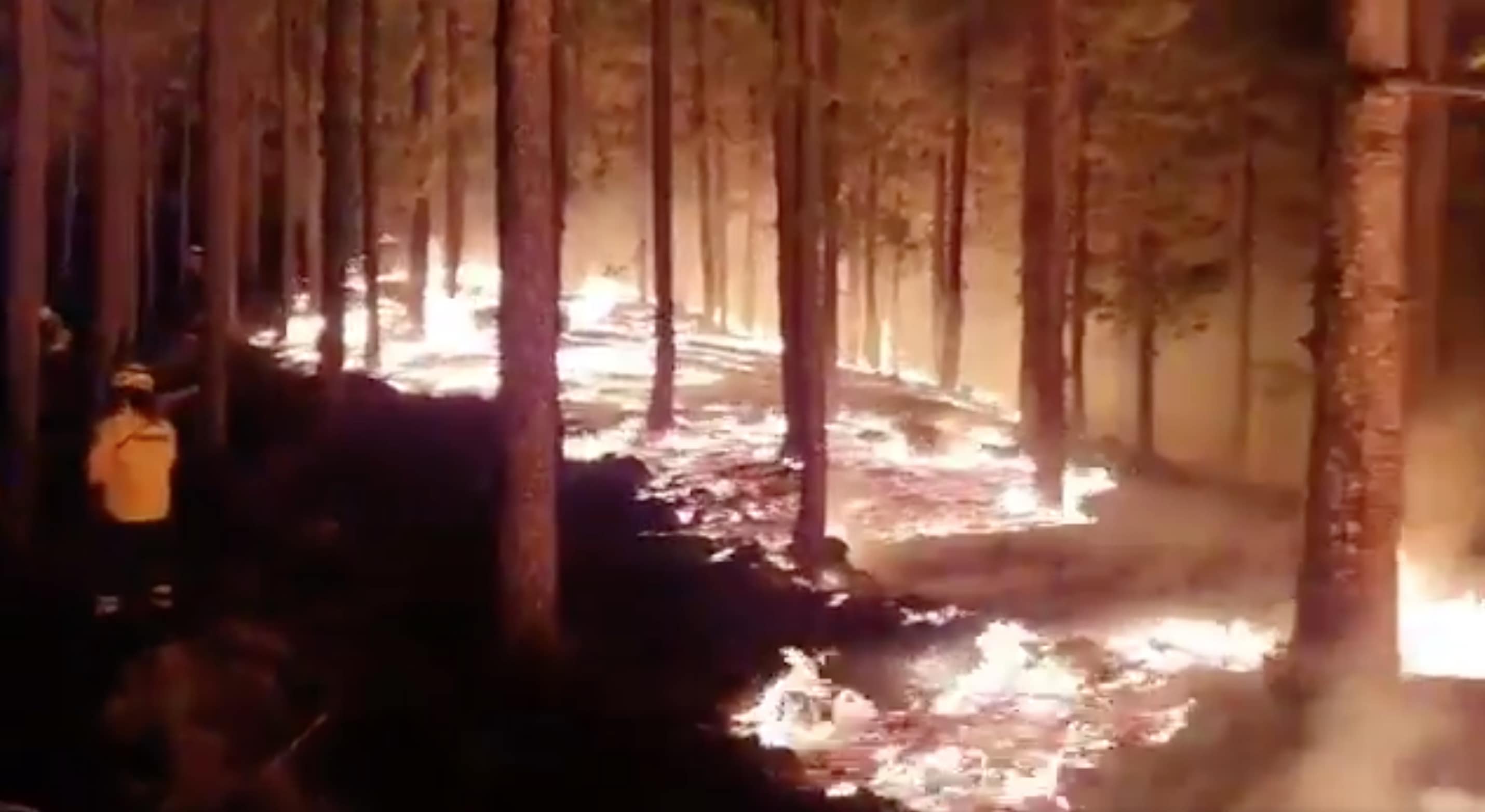 Waldbrand Gran Canaria Forstbrigade Cabildo 08-2019