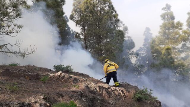 Gran Canaria: Waldbrand in Valsequillo ausgebrochen