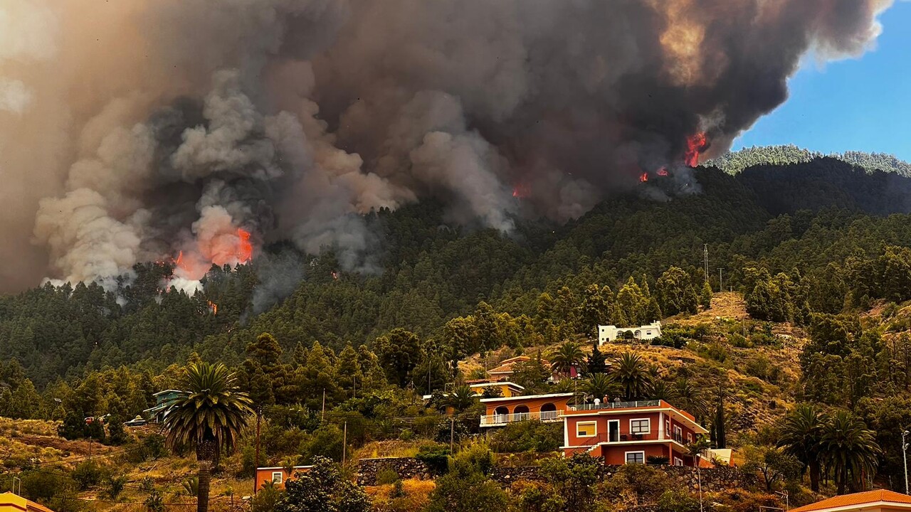 Waldbrand: La Palma steht in Flammen – Feuer ist außer Kontrolle