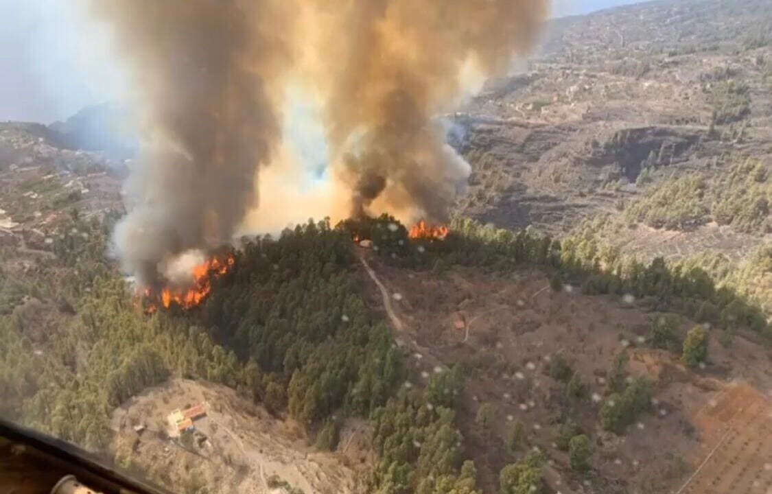 Wieder Waldbrand auf La Palma – Regierung übernimmt die Kontrolle