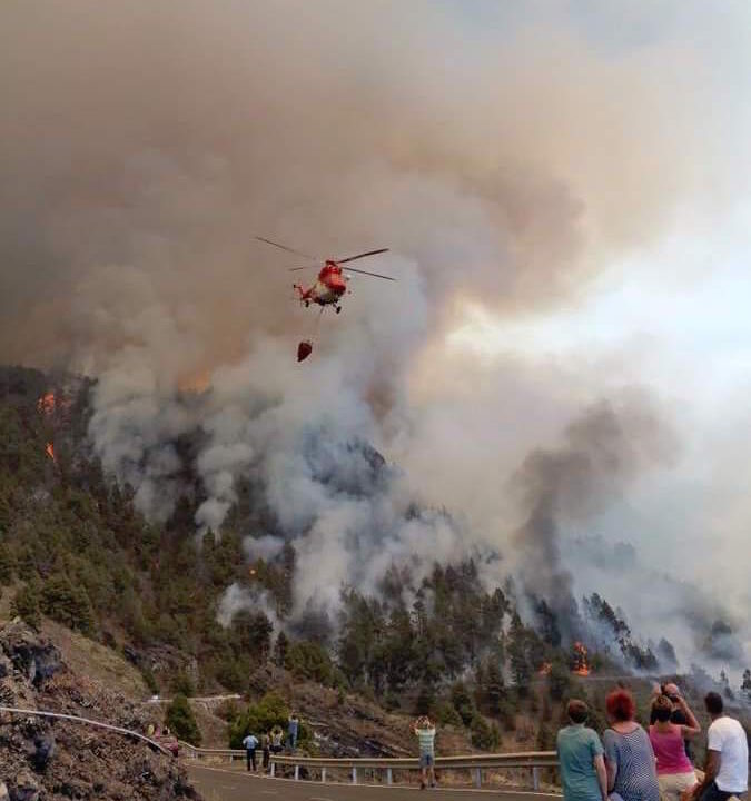 Deutscher zündet Klopapier an: Ein Toter bei Waldbrand auf La Palma