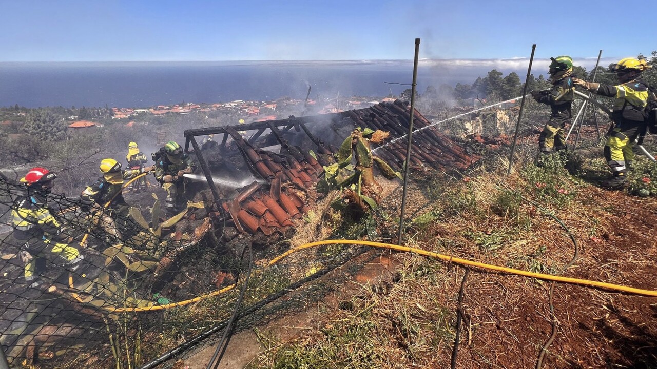 Party als Ursache? So soll der Waldbrand auf La Palma ausgebrochen sein