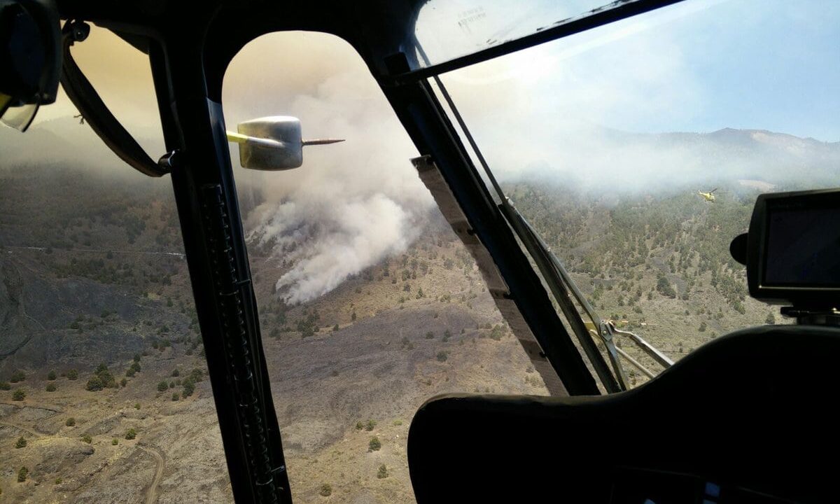 Waldbrand auf La Palma: Deutscher muss 3,5 Jahre in Haft