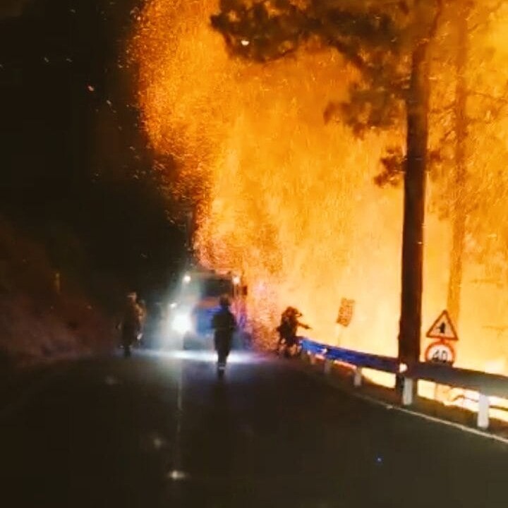 Waldbrand auf den Kanaren: 300 Menschen auf La Palma evakuiert