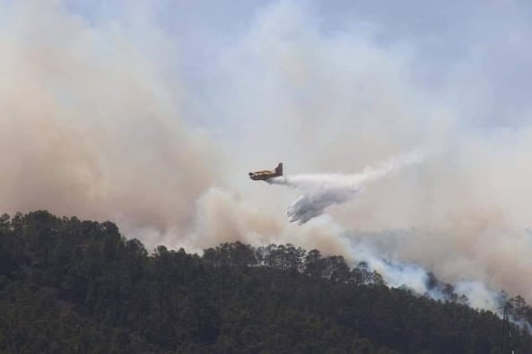 Waldbrand Teneriffa 05-2021 Löschflugzeug