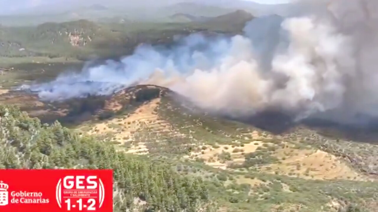Waldbrand auf Teneriffa ausgebrochen – erster Ort wird evakuiert