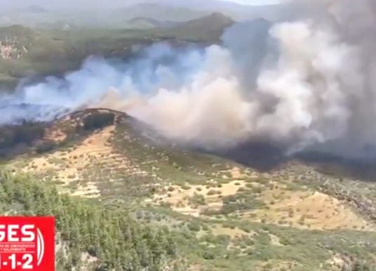 Waldbrand auf Teneriffa ausgebrochen – erster Ort wird evakuiert
