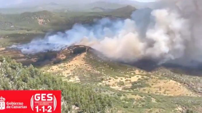 Waldbrand Teneriffa 07 2025