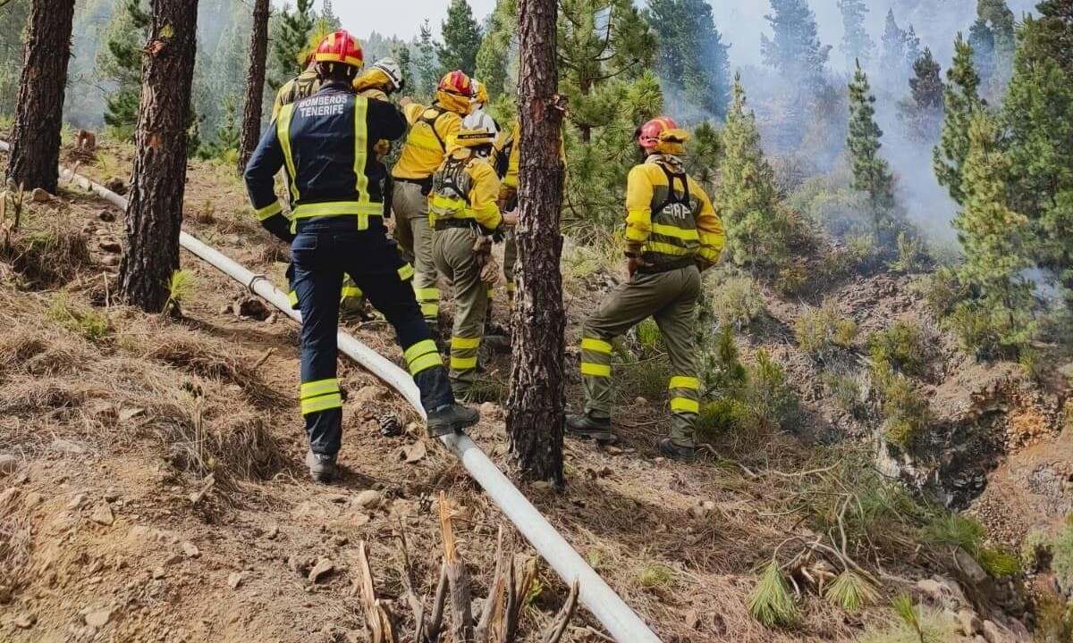 Waldbrand auf Teneriffa eingedämmt – bis zu 25.000 Tiere verbrannt