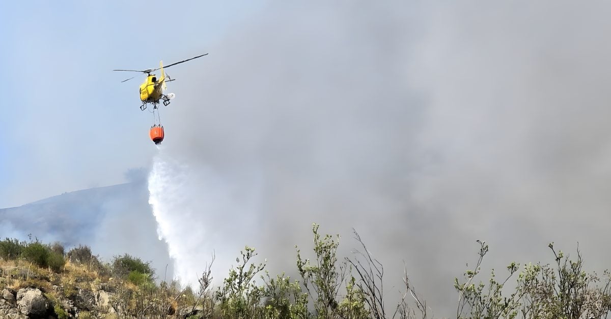 Waldbrand auf Teneriffa war „menschliche Unachtsamkeit“