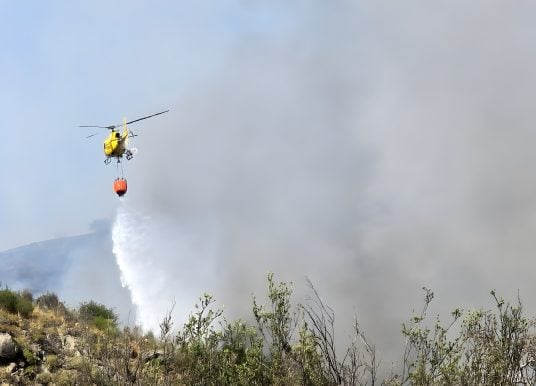 Waldbrand auf Teneriffa war „menschliche Unachtsamkeit“