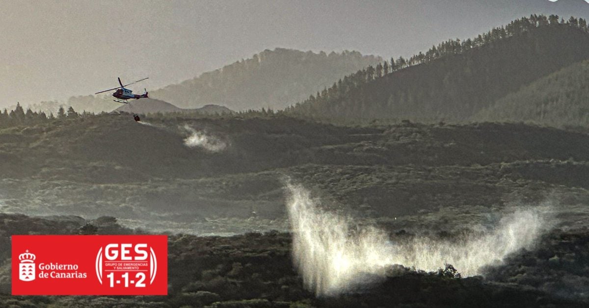 Waldbrand auf Teneriffa zerstört 81 Hektar – die Zwischenbilanz