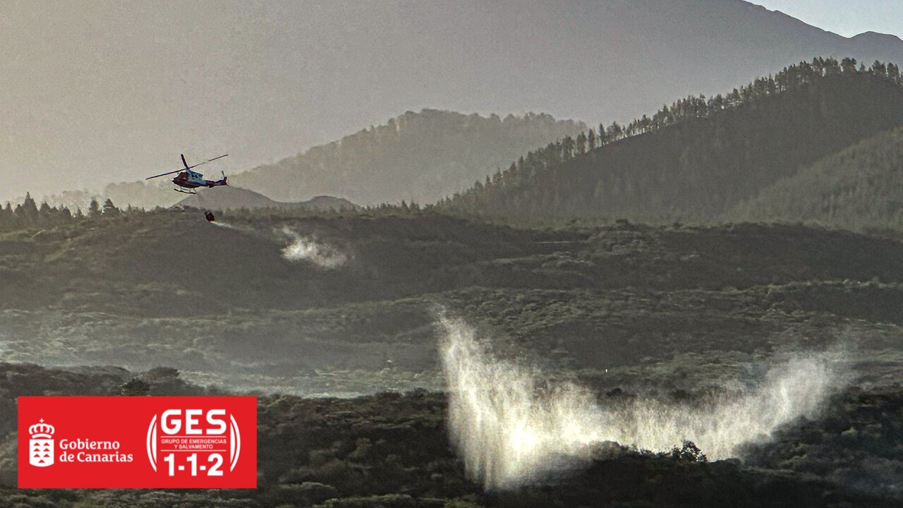 Waldbrand auf Teneriffa zerstört 81 Hektar – die Zwischenbilanz