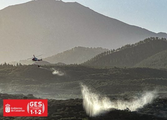 Waldbrand auf Teneriffa zerstört 81 Hektar – die Zwischenbilanz