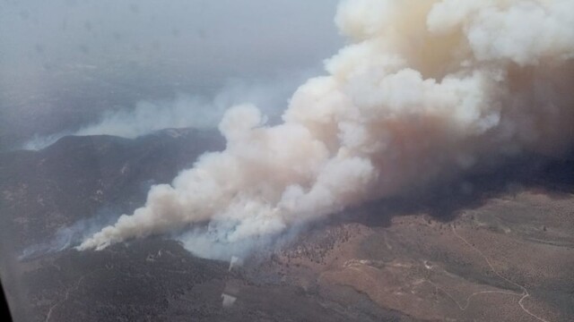 Waldbrand auf Teneriffa wütet auf 2600 Hektar und erreicht Teide-Nationalpark