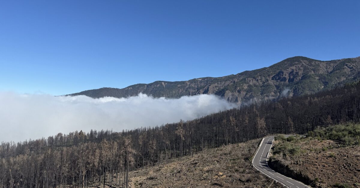 Teneriffa verhängt Verbote wegen hohen Waldbrand-Risikos