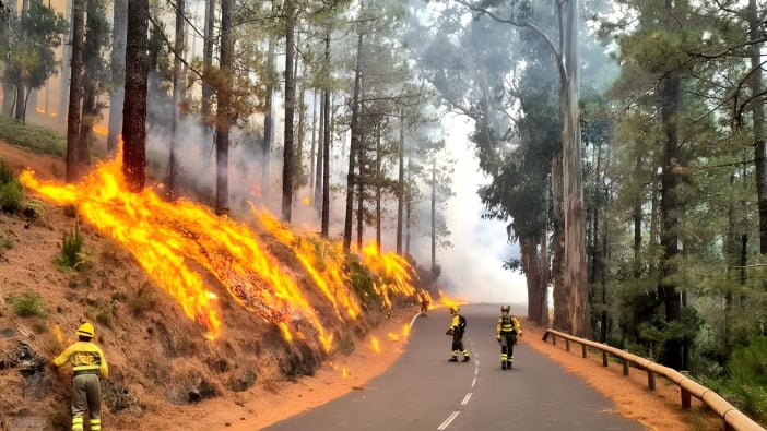 Waldbrand Teneriffa Candelaria 08-2023 Atbrif