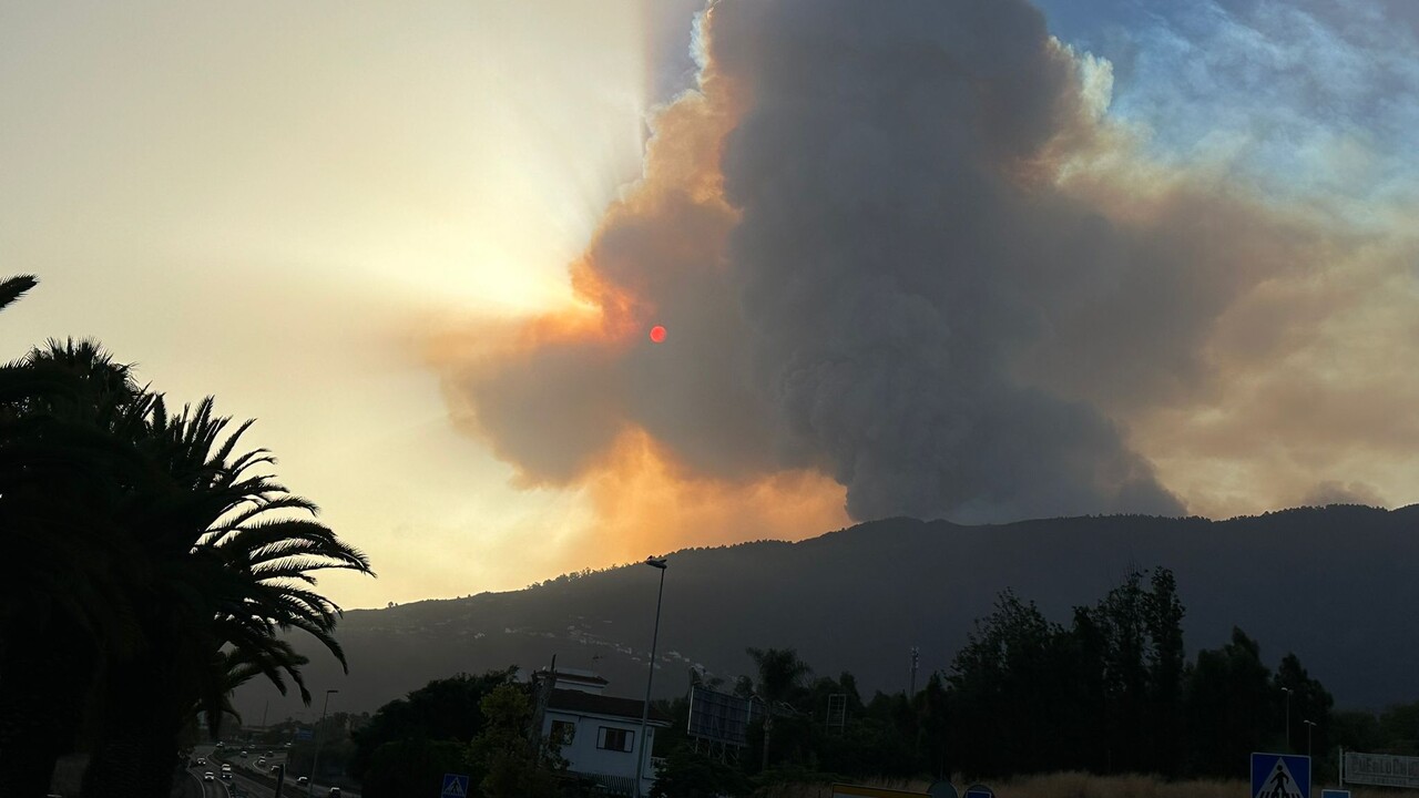 Politik besorgt: Waldbrand auf Teneriffa könnte in den Norden übergreifen