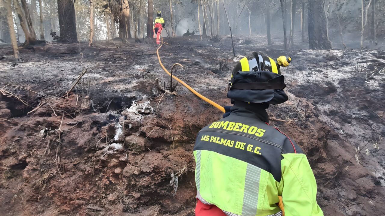 Waldbrand auf Teneriffa: Wie groß ist der Schaden wirklich?