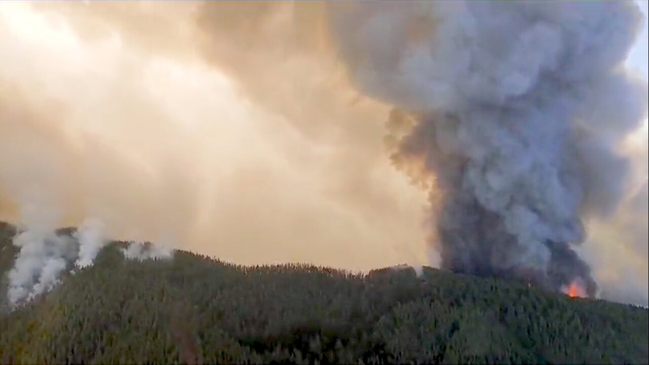 2600 Hektar verbrannt: Waldbrand auf Teneriffa ist „komplexester seit 40 Jahren“