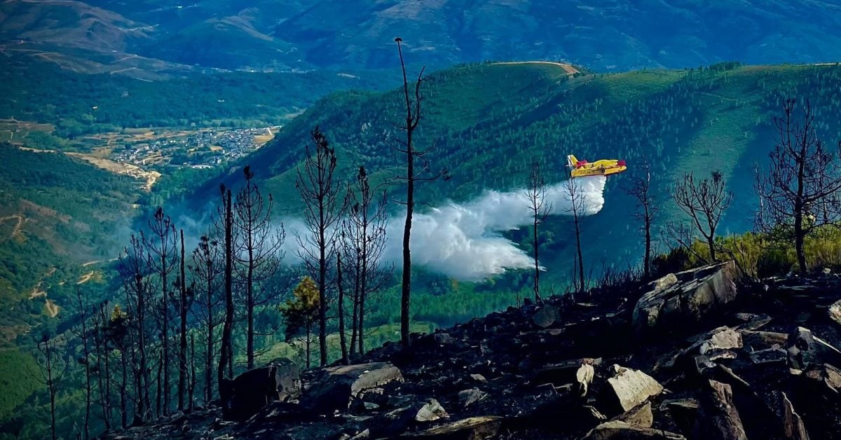 Teneriffa: 70 Sensoren sollen Waldbrände verhindern