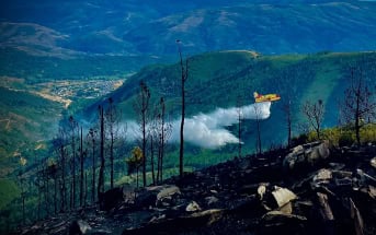 Waldbrand Teneriffa Flugzeug verbrannt 08-2023