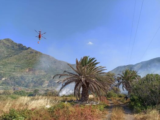 Fotos und Videos vom Flächenbrand bei La Laguna