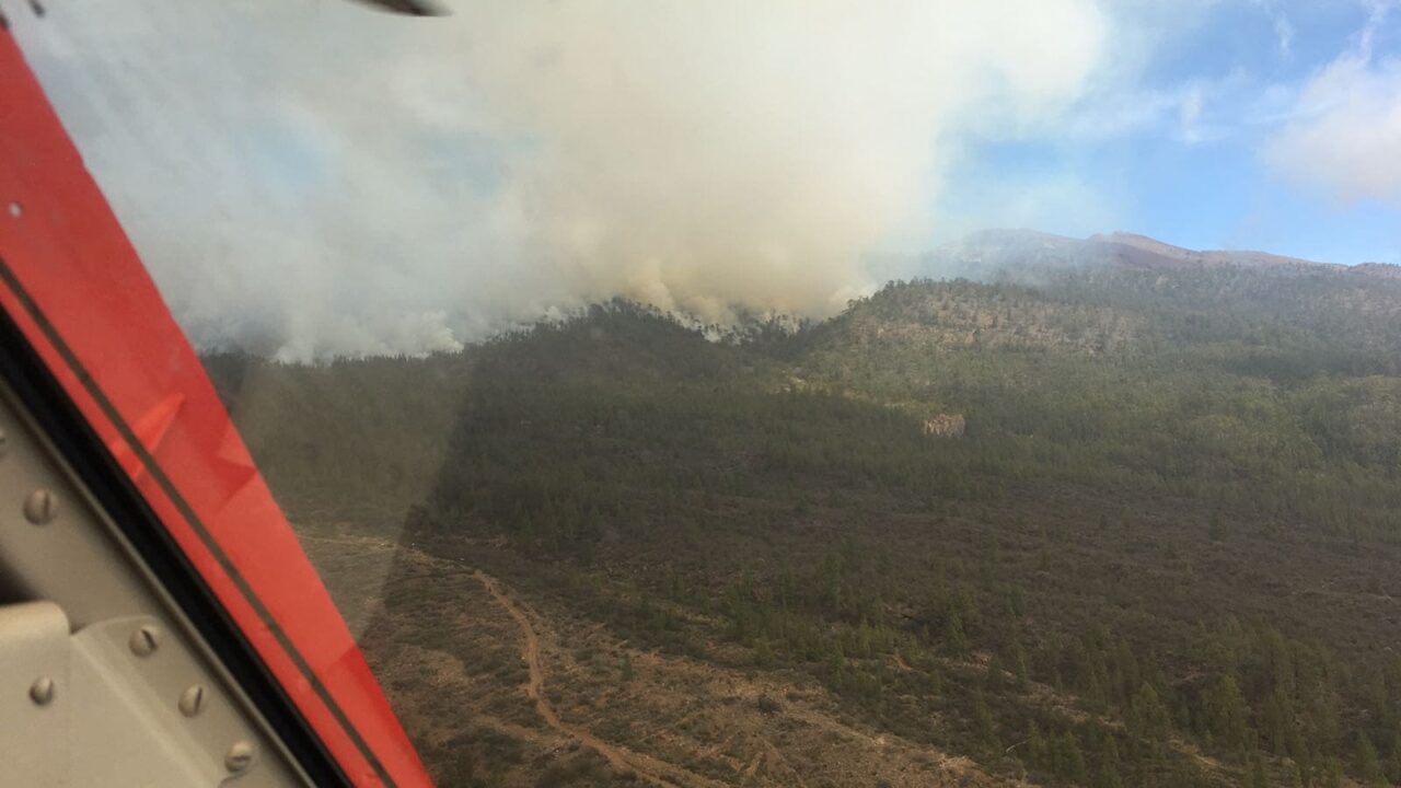 Waldbrand auf Teneriffa: Zwei Feuerwalzen fressen sich durch den Süden der Insel