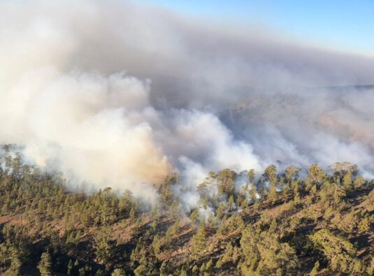 Fotos und Videos der Waldbrände auf Teneriffa