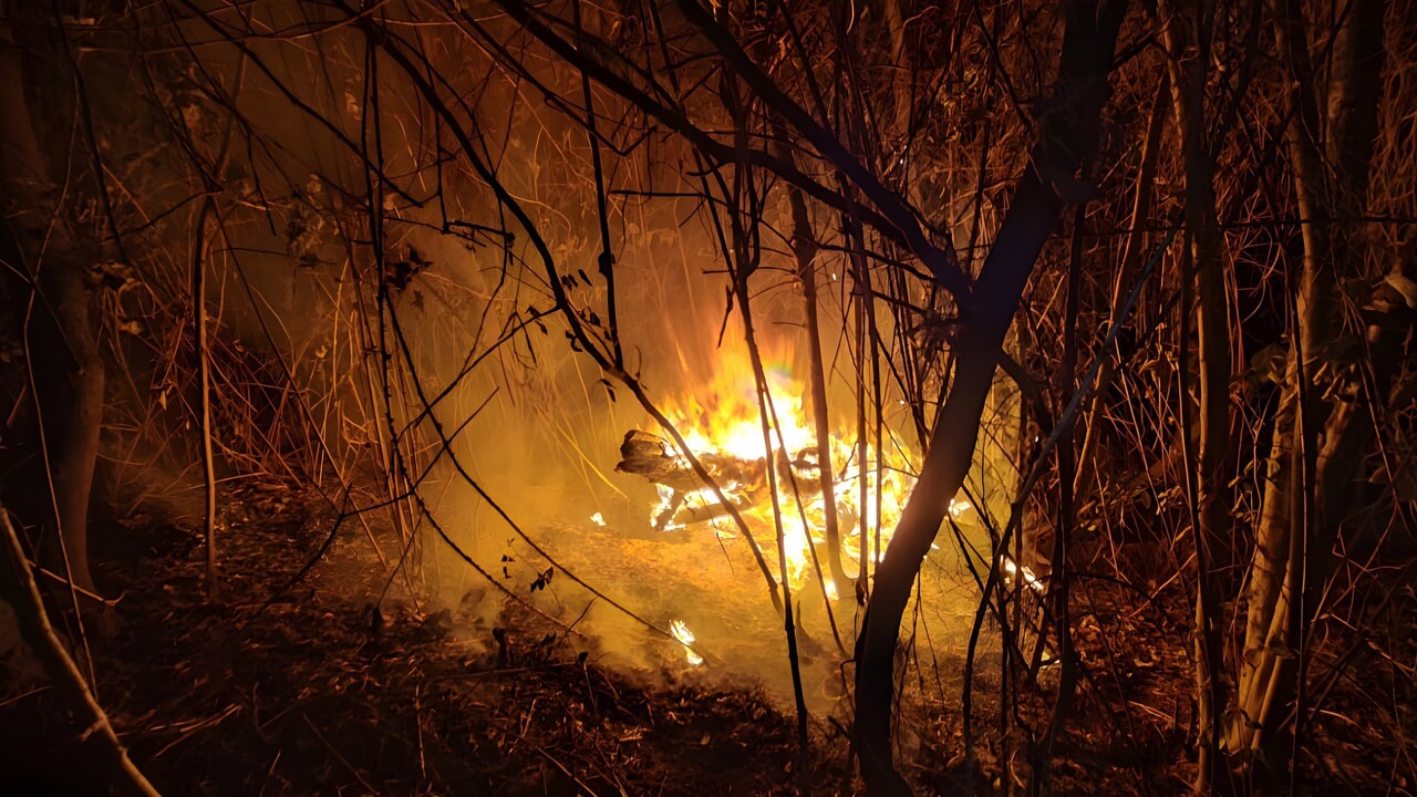 Waldbrand auf Teneriffa: Wetterwechsel bringt langersehnte Unterstützung