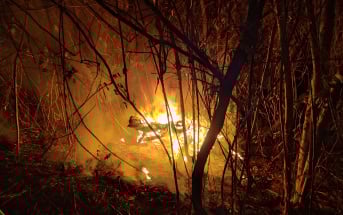 Waldbrand Teneriffa Nacht Flammen 08-2023