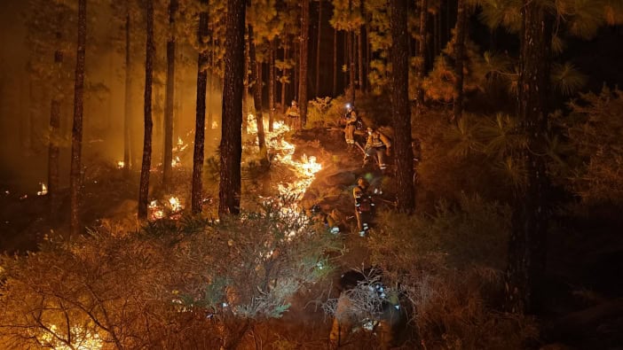 Waldbrand Teneriffa Nacht Gobcan